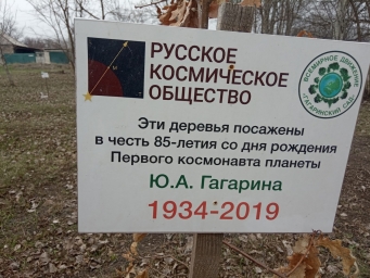 Гагаринский сад прифронтовой 1